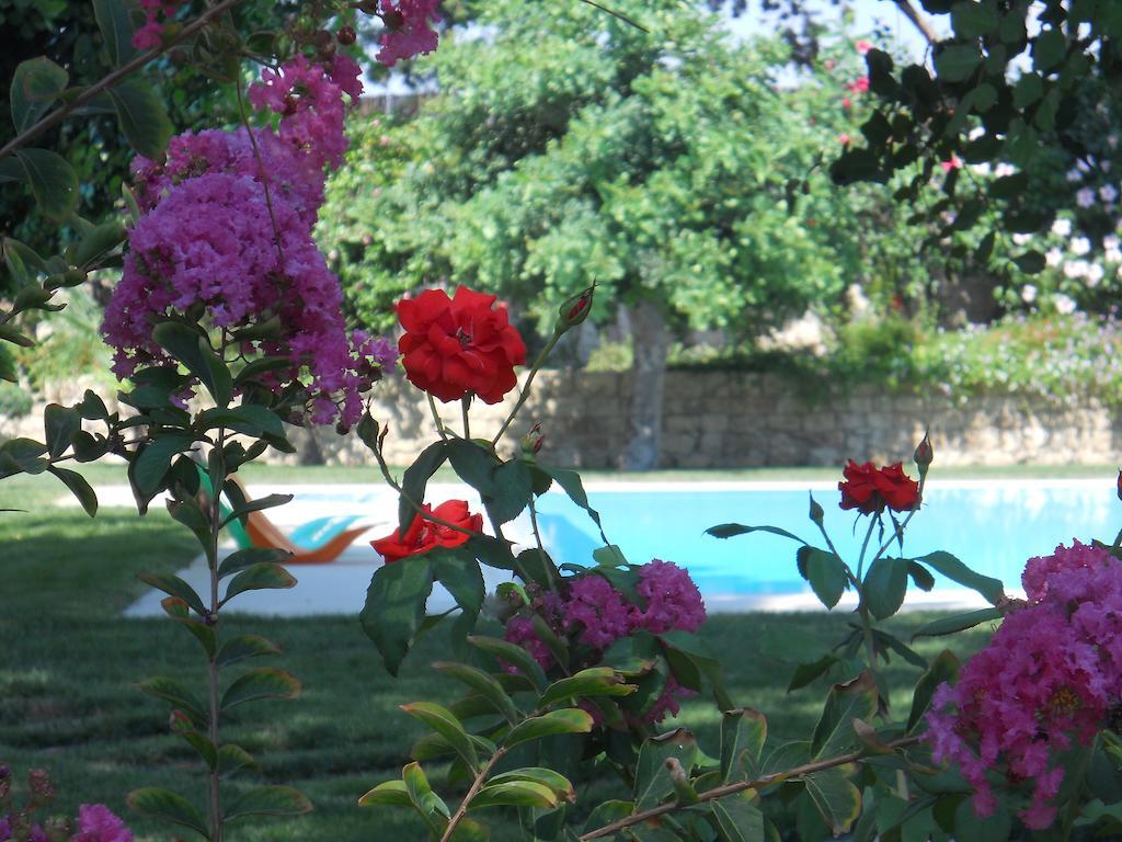 Il Giardino Dei Carrubi Villa Donnalucata  Cameră foto