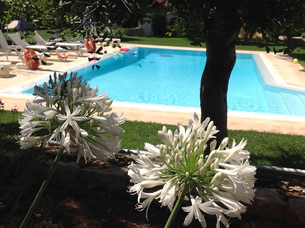 Il Giardino Dei Carrubi Villa Donnalucata  Exterior foto